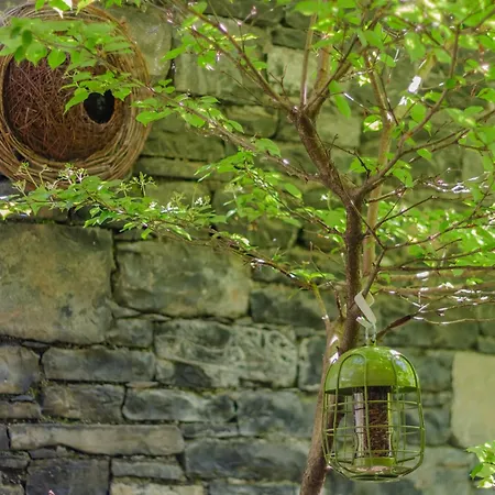 Appartamento Giardino Al Tramonto *